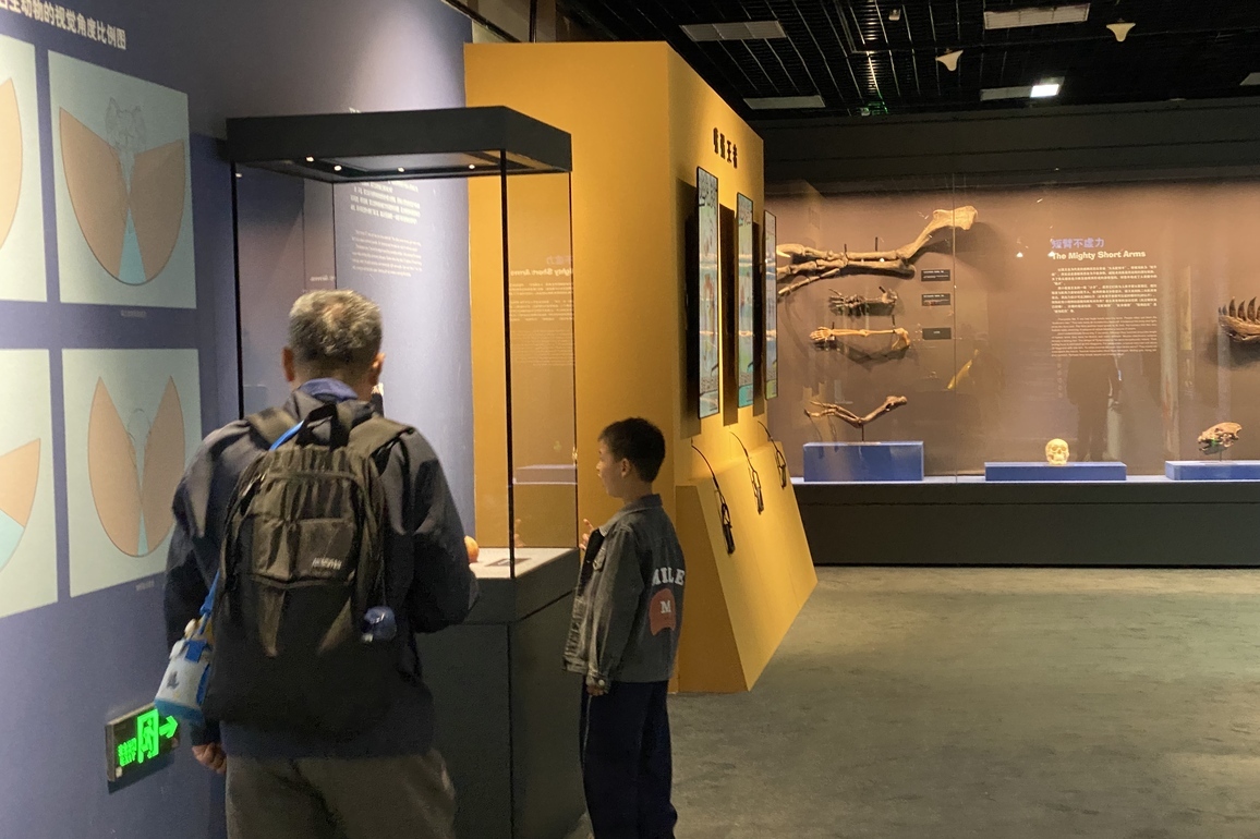 CHINA-BEIJING-KING OF DINOSAURS-TYRANNOSAURUS-EXHIBITION (CN)