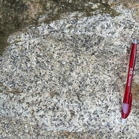 China clears rare earth exports for US carmaker suppliers