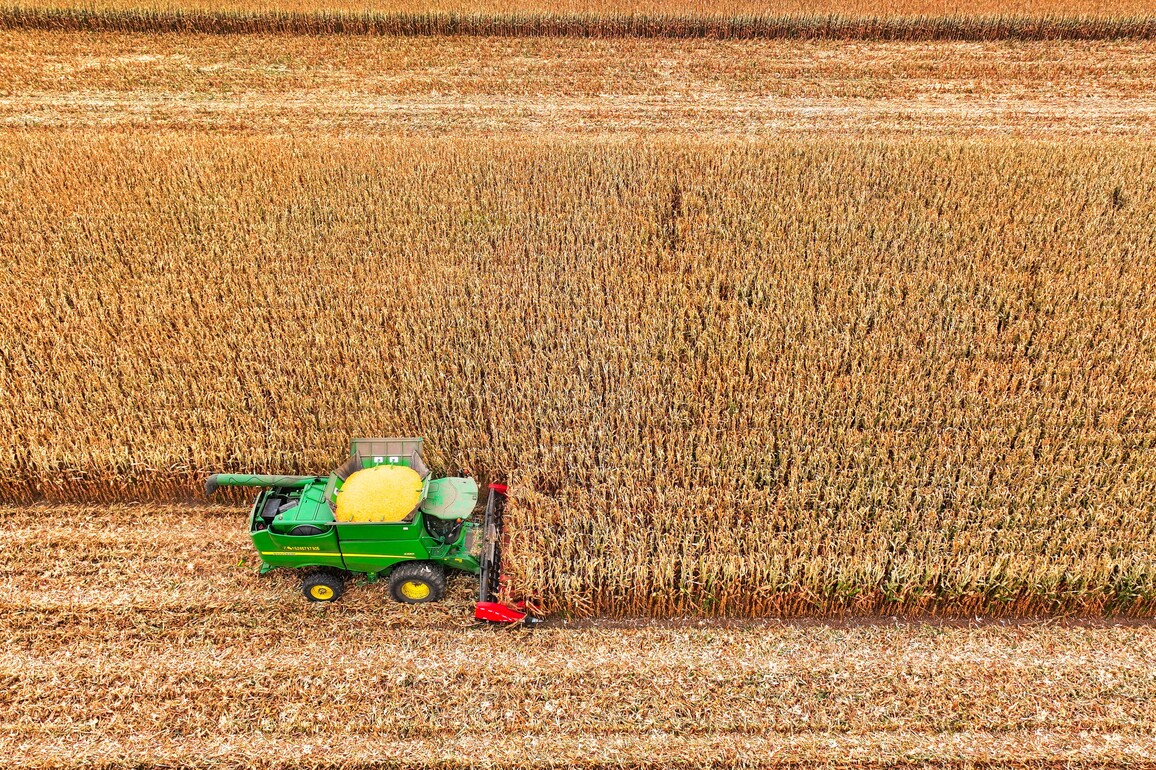 CHINA-INNER MONGOLIA-TONGLIAO-CORN-HARVEST (CN)