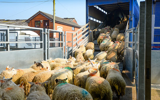 NFU says further EU delays will leave UK farmers feeling frustrated