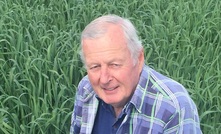  Queensland producer Don Sharp, ‘Jaydon Pastoral Company’, Mount Walker, inspecting a demonstration crop of the new Warlock forage oat variety.