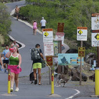 State audit criticizes Hawaii Tourism Authoritys destination management