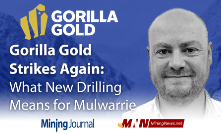 Gorilla Gold Strikes Again: What New Drilling Means for Mulwarrie
