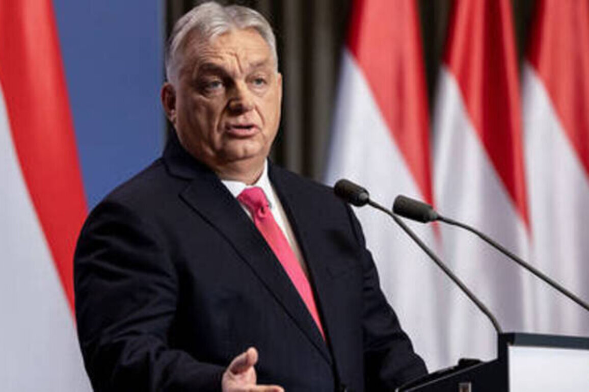 Ukraine is our enemy - Orban