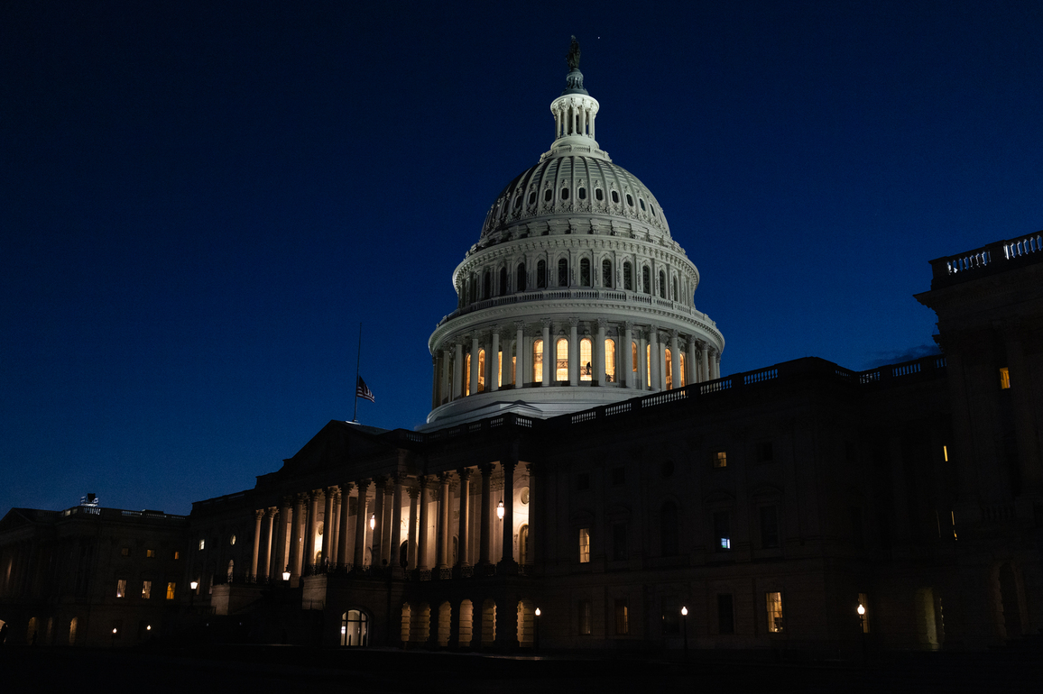 Opinion- Who needs a Congress&quest;