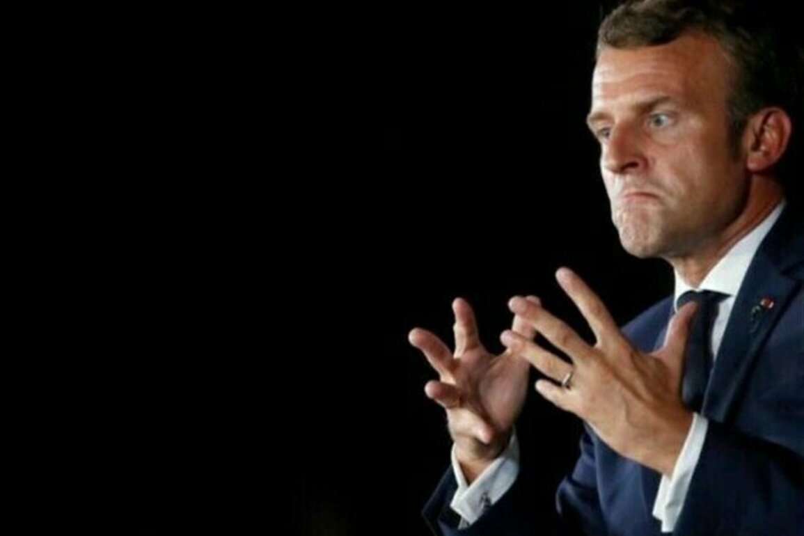 Macron Says Putin-Zelensky Meeting Possible in 2 Weeks