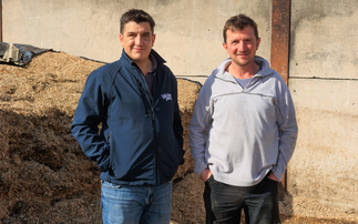 How one Leicestershire dairy farm is raising the bar for high-protein milk