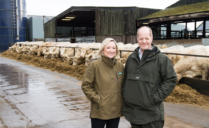 Goldies Charolais herd looking ahead to Stirling bull sales