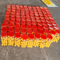 Telangana: 2 held for manufacturing and selling adulterated food in Mailardevpally