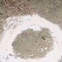 Lucknow: Chain snatching accused arrested after firing at police, injured in leg