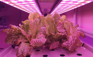 Mission to Mars? Vertical Future to develop prototype for growing crops
