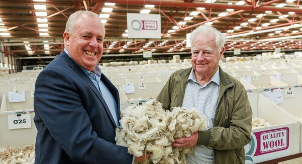 Wool industry leaders Mark Dyson, Quality Wool, and Rod Franklyn, Techwool Trading, are looking forward to the future after announcing the merger of their country wool marketing divisions.