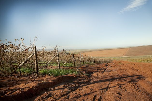 Not all droughts are the same: here&#039;s what&#039;s different about them
