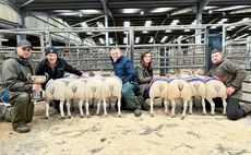 Sales round up: Lambs to £1,500/head at Carlisle, record calf price at Gisburn, £5,000 raised for charity, dairy record set at Betham