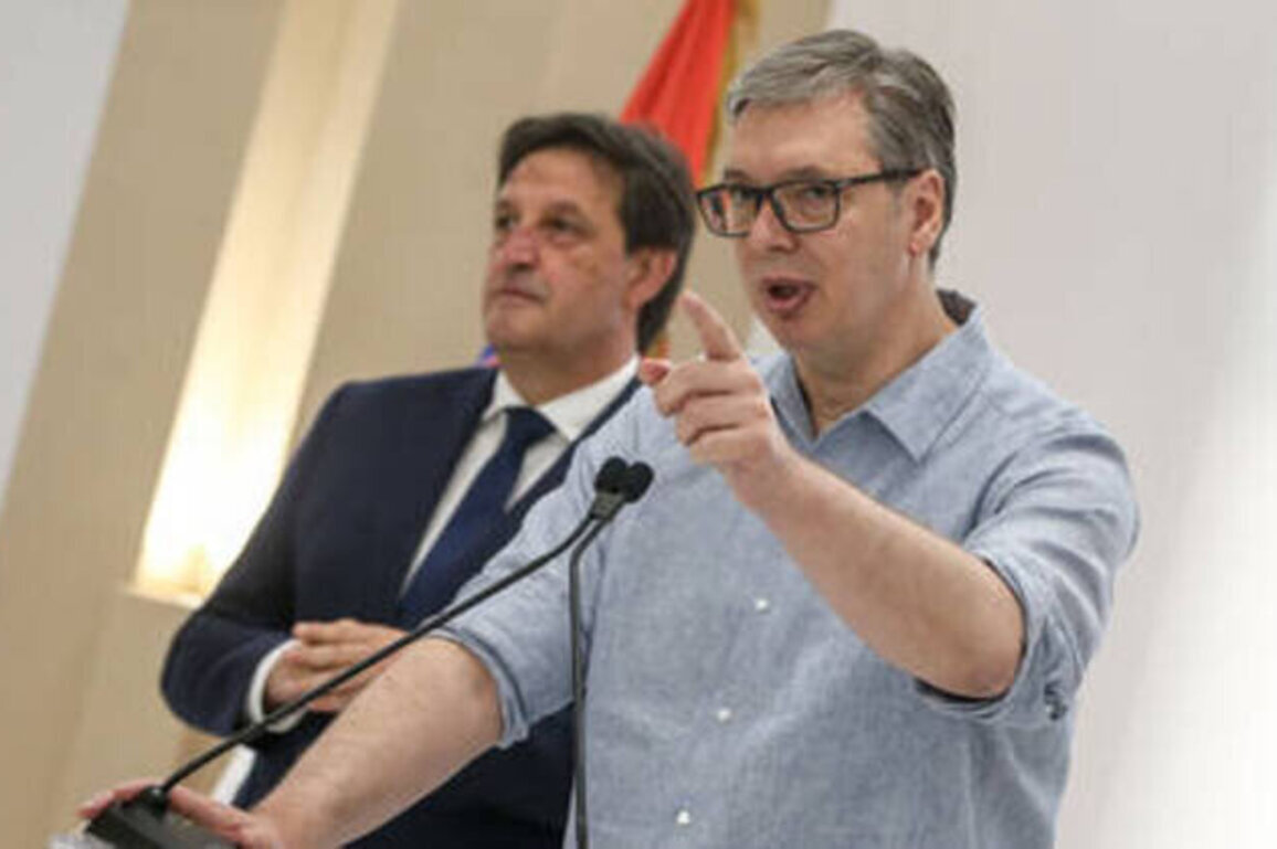 Serbia's Vucic hits back at NATO member over Balkan summit cancellation