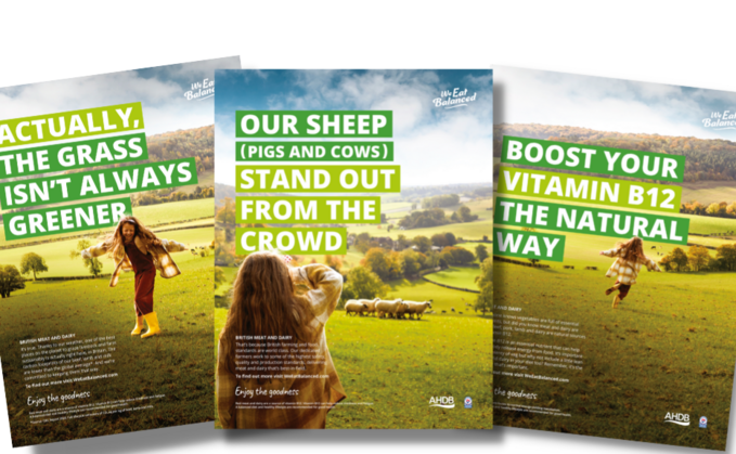 AHDB campaign focuses on value of keeping red meat and  dairy in shopping baskets