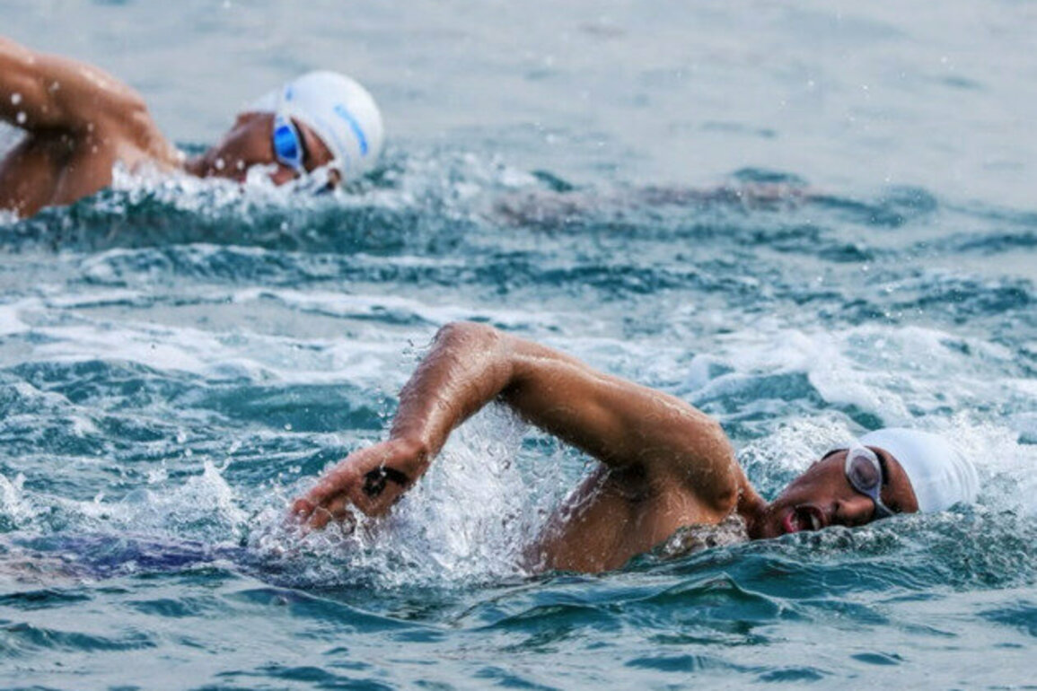 Dubai International Aquatics Championships to attract over 3000 swimmers