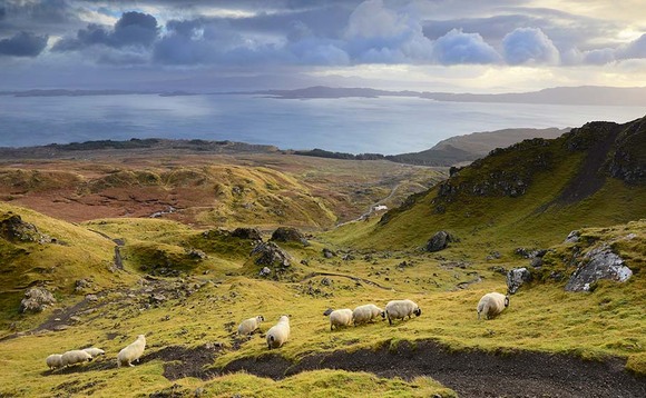 Scottish farm spend protected in Budget