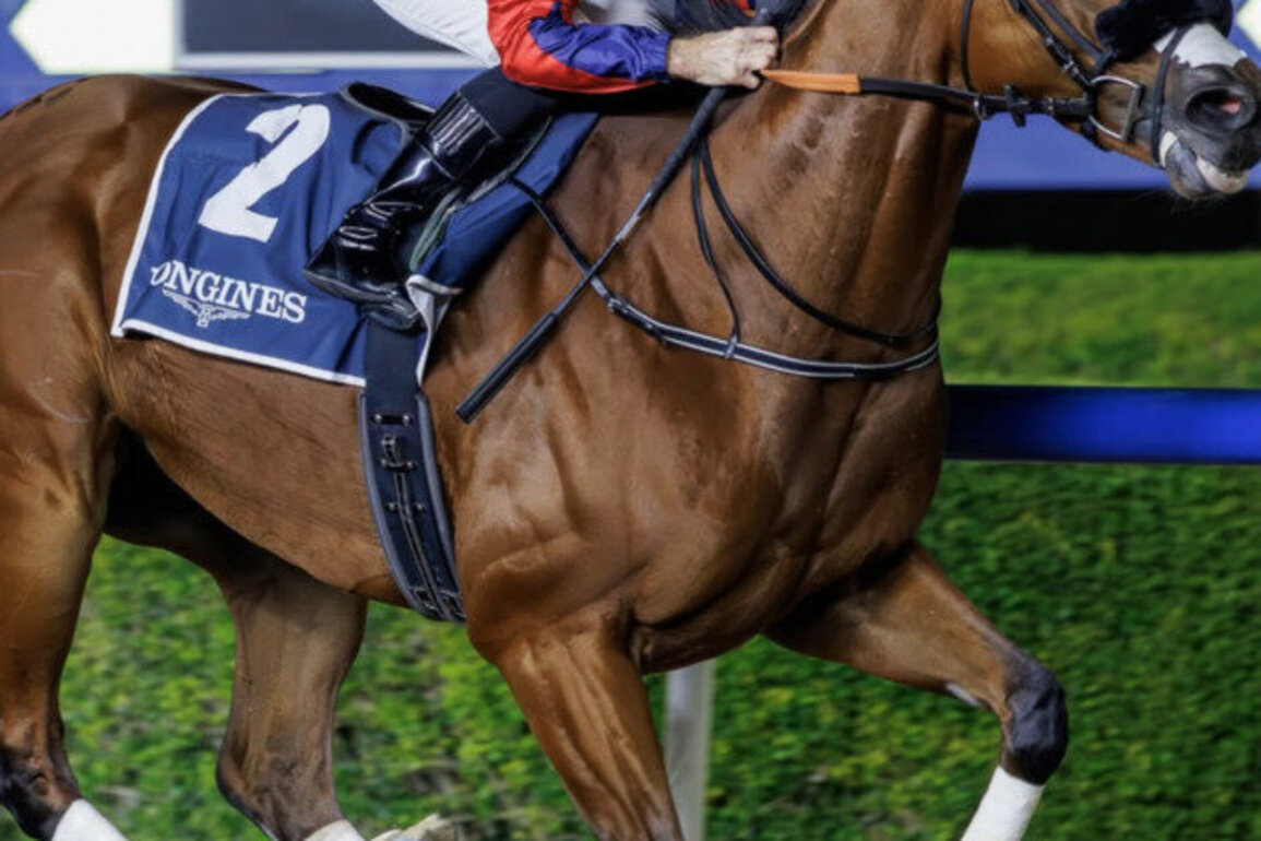 Imperial Emperor books Dubai World Cup berth on Meydan's Fashion Friday