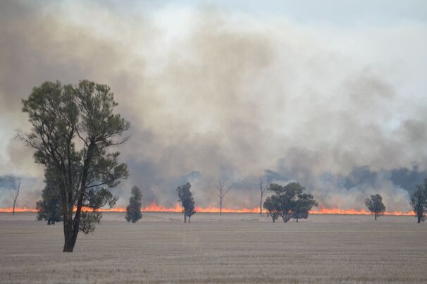 Some parts of southern New South Wales have been impacted by bushfires following hot and windy conditions in December.