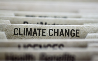 Study: 'Well designed' climate framework laws are delivering positive impact