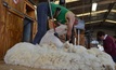  WA's Muresk Institute is set for a new shearing shed. Picture Mark Saunders.