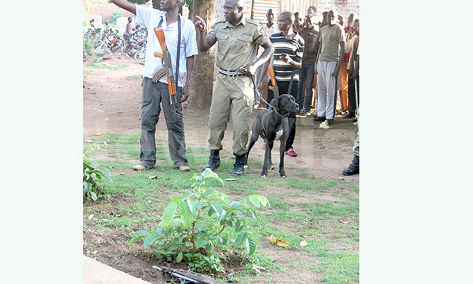 Oyam Police hunt for suspects who fled with gun Oyam Police hunt for suspects who fled with gun