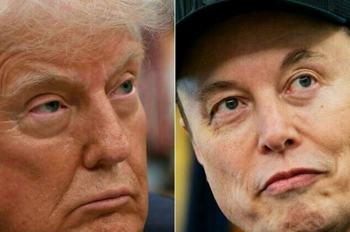 Trump says Musk has 'lost his mind' as feud fallout mounts