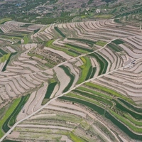 Scientists uncover how long-term cultivation affects soil fauna diversity in oasis farmlands
