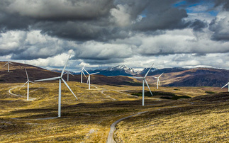 EDF 'Sunday Saver' scheme to return in January