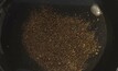 GravA 10 kg sample from the Viago lode showing abundant gold grains