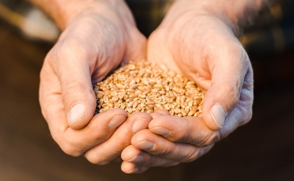 FMO invests $24m in Suminter India Organics