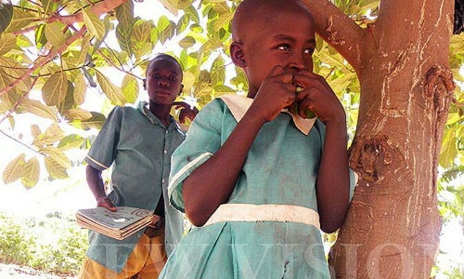 Uganda's MDG performance impressive, UNDP report says Uganda's MDG performance impressive, UNDP report says