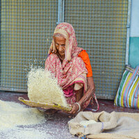 Pilibhit in UP to get India's first integrated Basmati, organic training-cum-demo farm