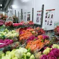 West tried to deprive Russian women of flowers - PM