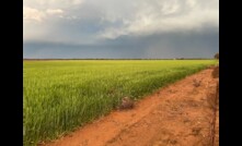  Payment scheme on offer for NSW farmers who host transmission lines on-farm. Picture Mark Saunders.