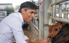 Rishi Sunak named the 'countryside candidate' at the next General Election by veterinary MP