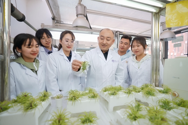 CHINA-TIANJIN-PLANT LEAVES-AIRBORNE MICROPLASTICS (CN)
