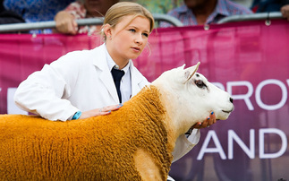 Jeff and Katie Aiken: Stockmanship, success and starting again | For Flock's Sake Ep3