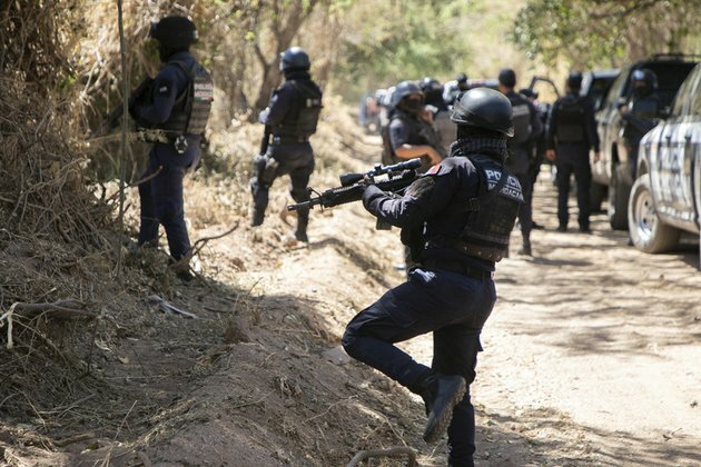 11 people and armor-clad monkey killed in cartel shootout