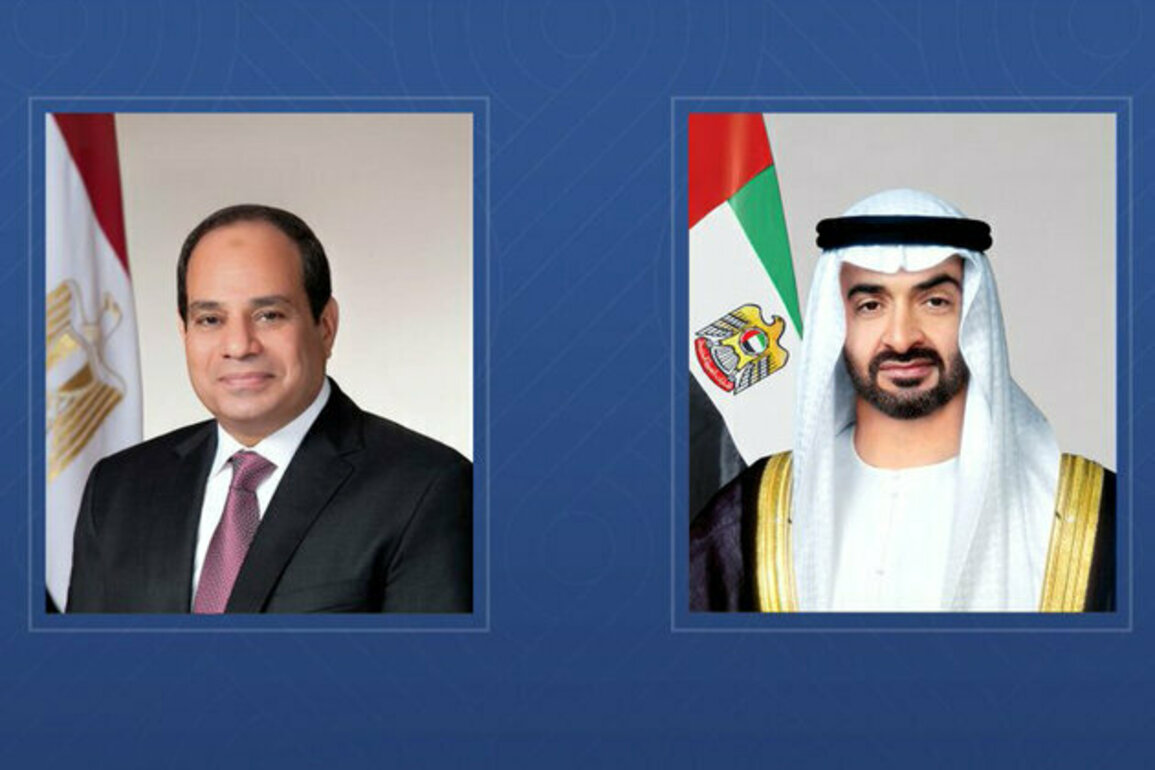 UAE President welcomed in Cairo by Egyptian President at start of fraternal visit