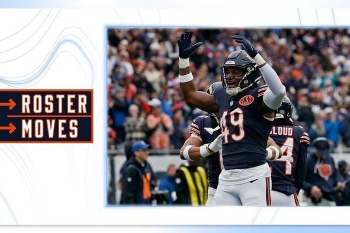 Roster Moves: Chicago Bears activate Edmunds, elevate Alexander