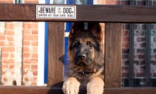  Miners are often labelled as attack dogs. Image: iStock.com/vindicta76