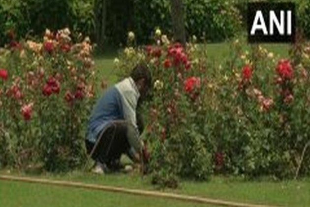Restoration work begins at Mughal Garden in Srinagar