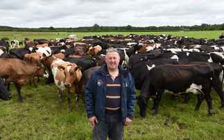  Ayrshires play key role in Yorkshire family farming business