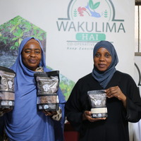 TANZANIA-ZANZIBAR-SEAWEED INDUSTRY-FEMALE SEAWEED FARMERS