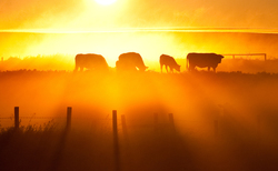 From the editor: It's an important time for farming - and for FG too