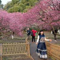 CHINA-ZHEJIANG-HANGZHOU-WEST LAKE-TOURISM (CN)