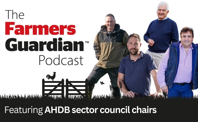 ż podcast: AHDB levy rises