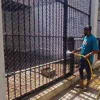 Special cooling measures introduced at Vadodara's Sayajibaug Zoo amid heatwave